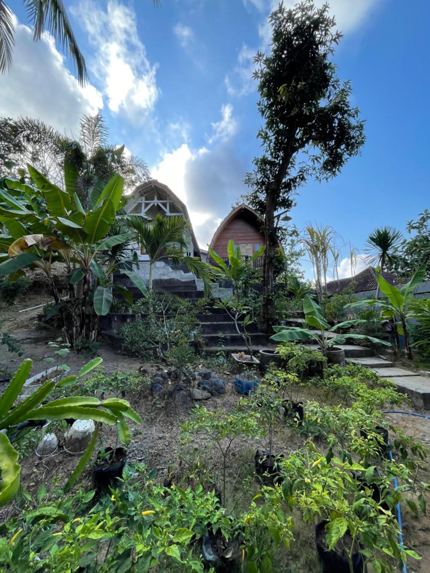 Tri Putri Homestay Kuta (Lombok) Exterior foto