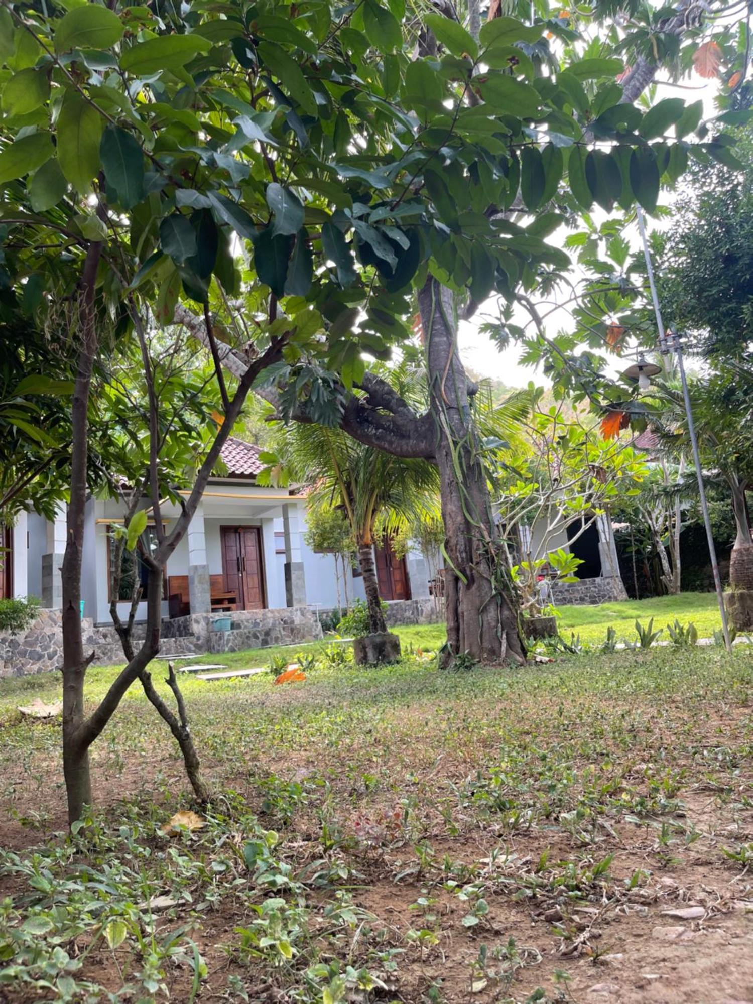 Tri Putri Homestay Kuta (Lombok) Exterior foto